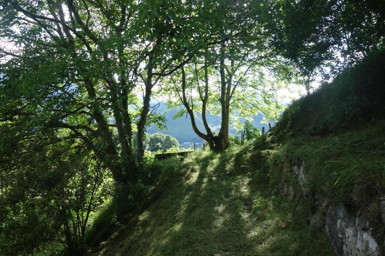 Gite Montagne Et Vie Bedous ภายนอก รูปภาพ
