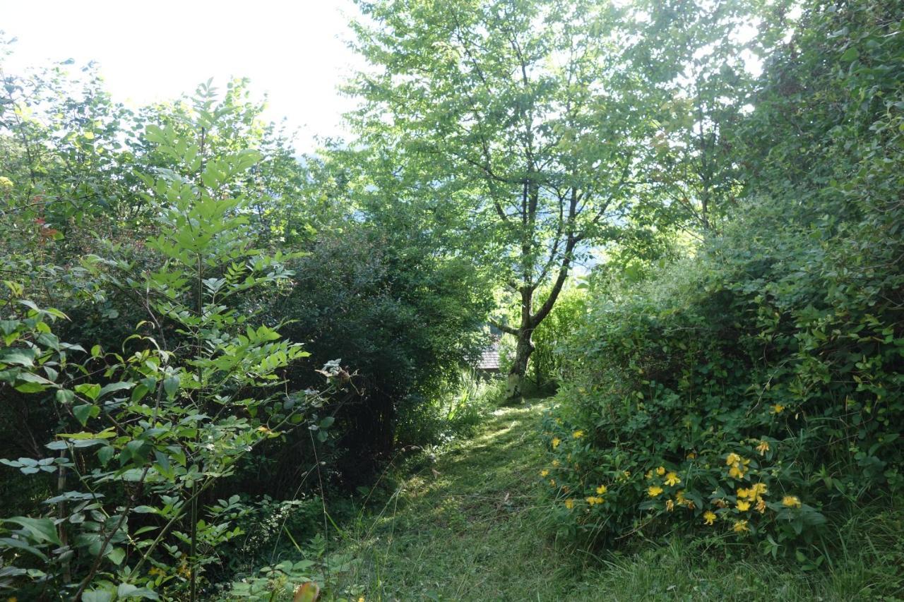 Gite Montagne Et Vie Bedous ภายนอก รูปภาพ