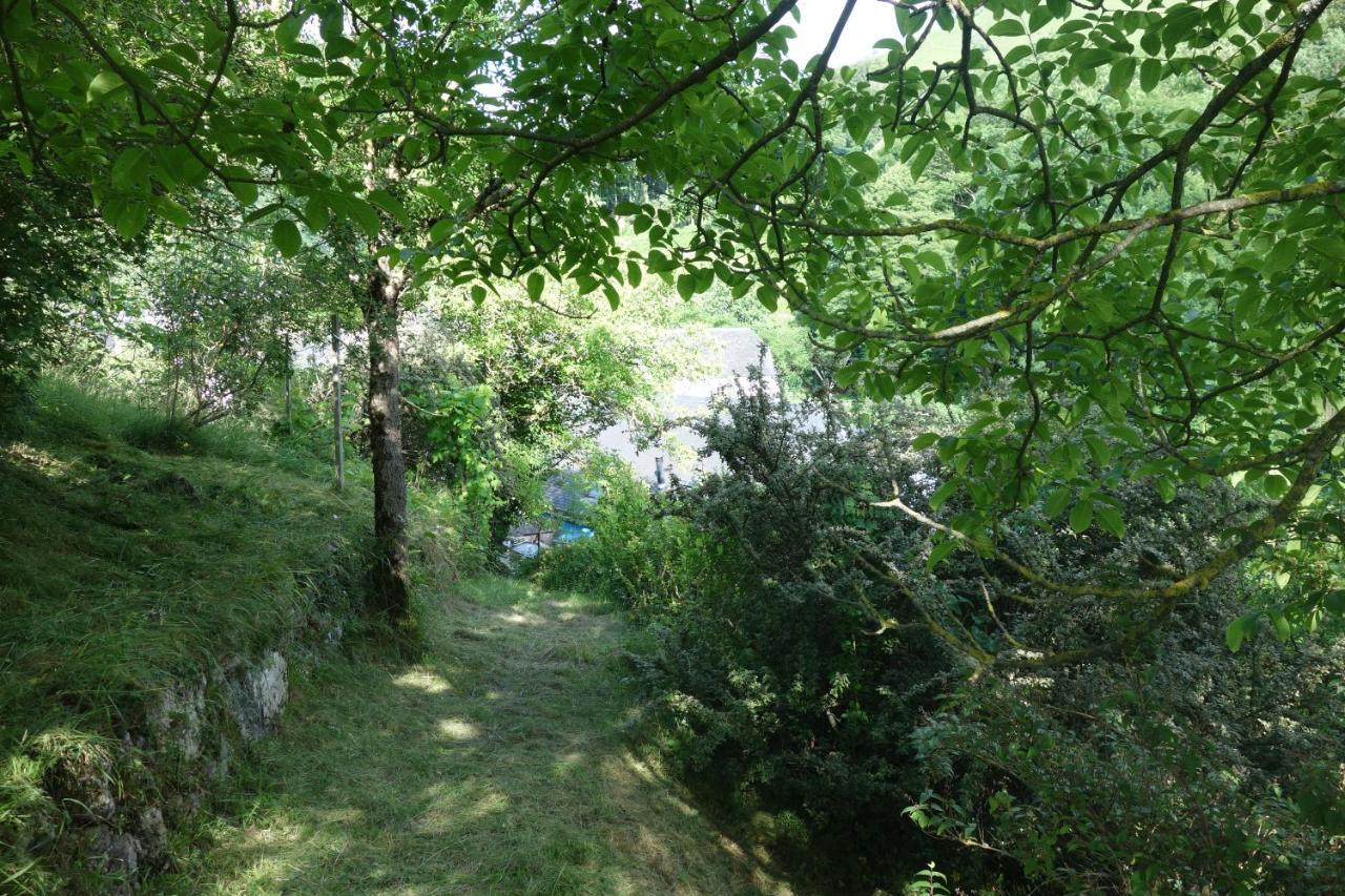Gite Montagne Et Vie Bedous ภายนอก รูปภาพ