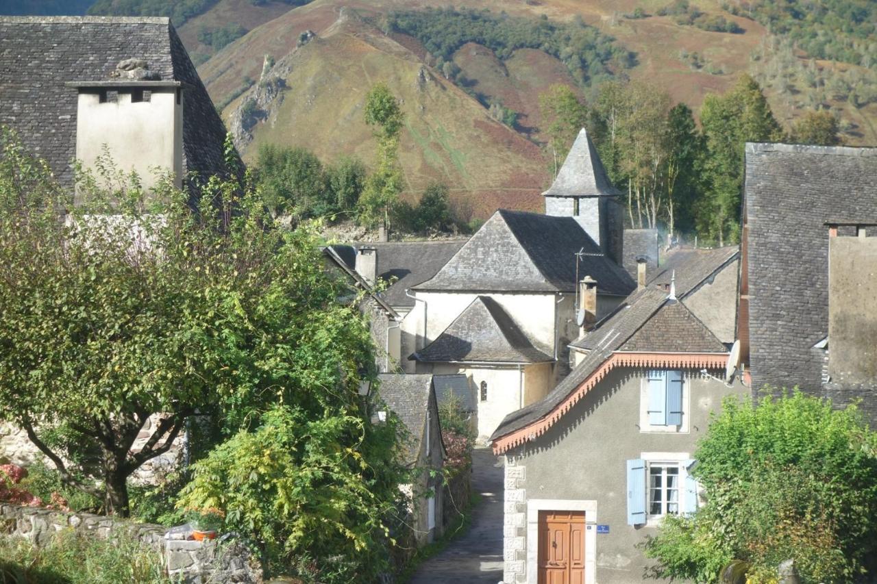 Gite Montagne Et Vie Bedous ภายนอก รูปภาพ